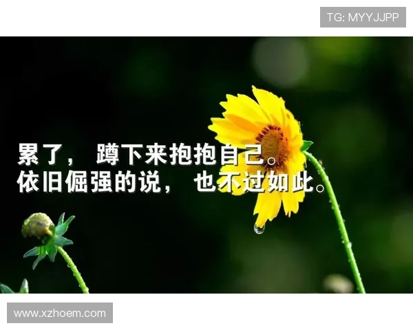 足球明星的励志语录与人生哲学启示你我前行的力量