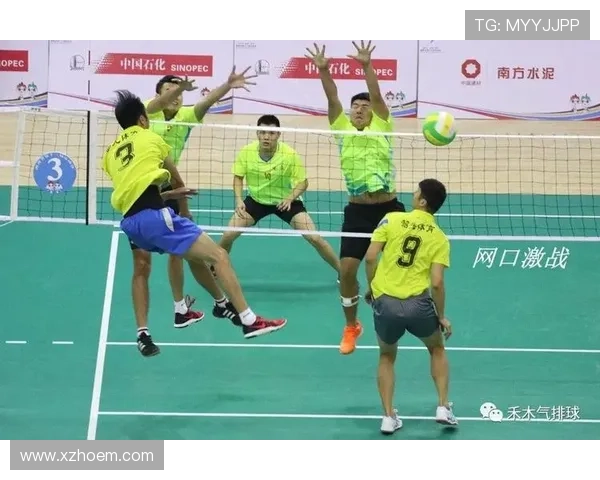 杭州羽毛球队区域防守策略解析与深度剖析